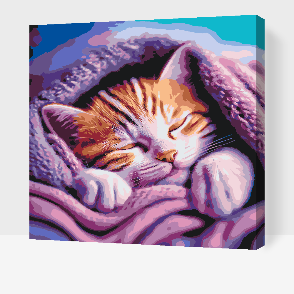 Malování podle čísel - Kitten under cover